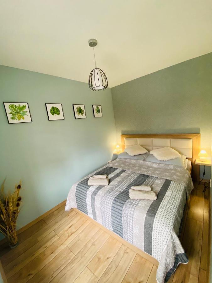 Apartament Bankowa 耶莱尼亚古拉 外观 照片