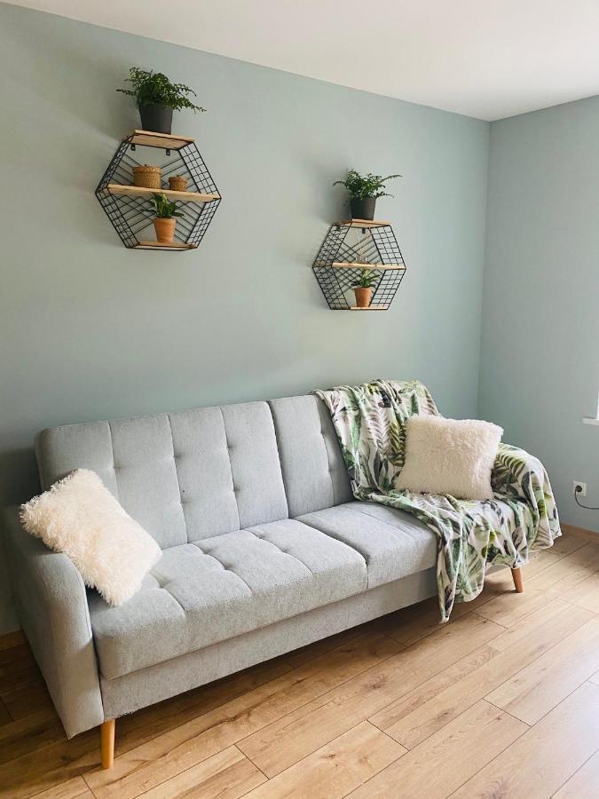 Apartament Bankowa 耶莱尼亚古拉 外观 照片